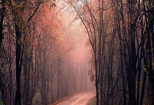 7.23日    周卡1.88抢购