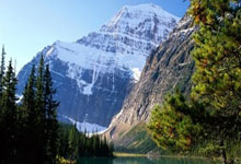 7.23日    周卡1.88抢购