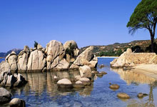 7.23日    周卡1.88抢购